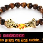 Daraz Online Shopping, Buy Online Sri Lanka - Dragon Head Natural Tiger Eye Stone Bracelet Sri Lanka